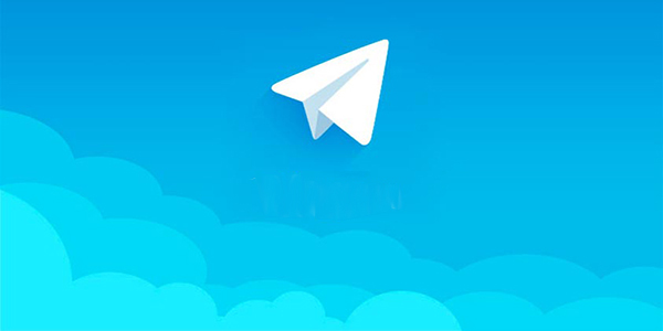 telegram Turin group